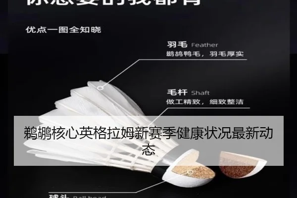 鹈鹕核心英格拉姆新赛季健康状况最新动态