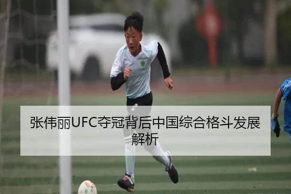 张伟丽UFC夺冠背后中国综合格斗发展解析